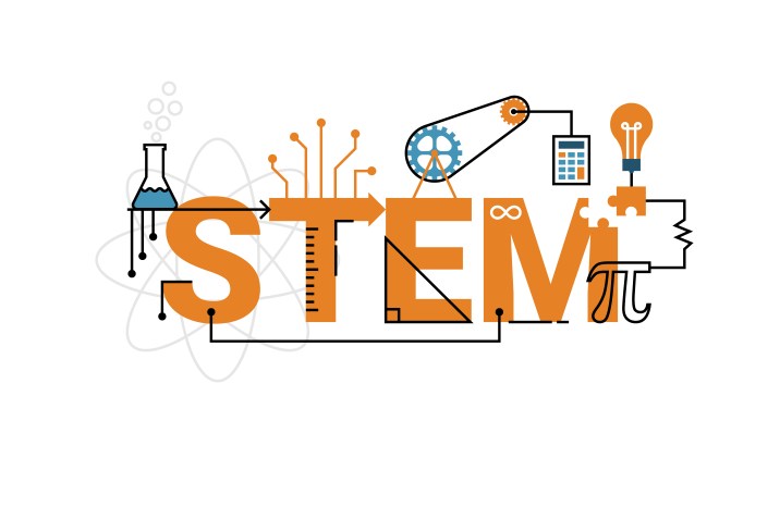 STEM Kök Hücre Haline Gelecek