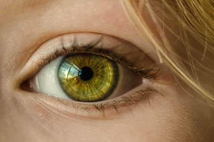 Göz Kırparak Yakınlaştırma Yapabildiğiniz Robotik Lens Geliştirildi